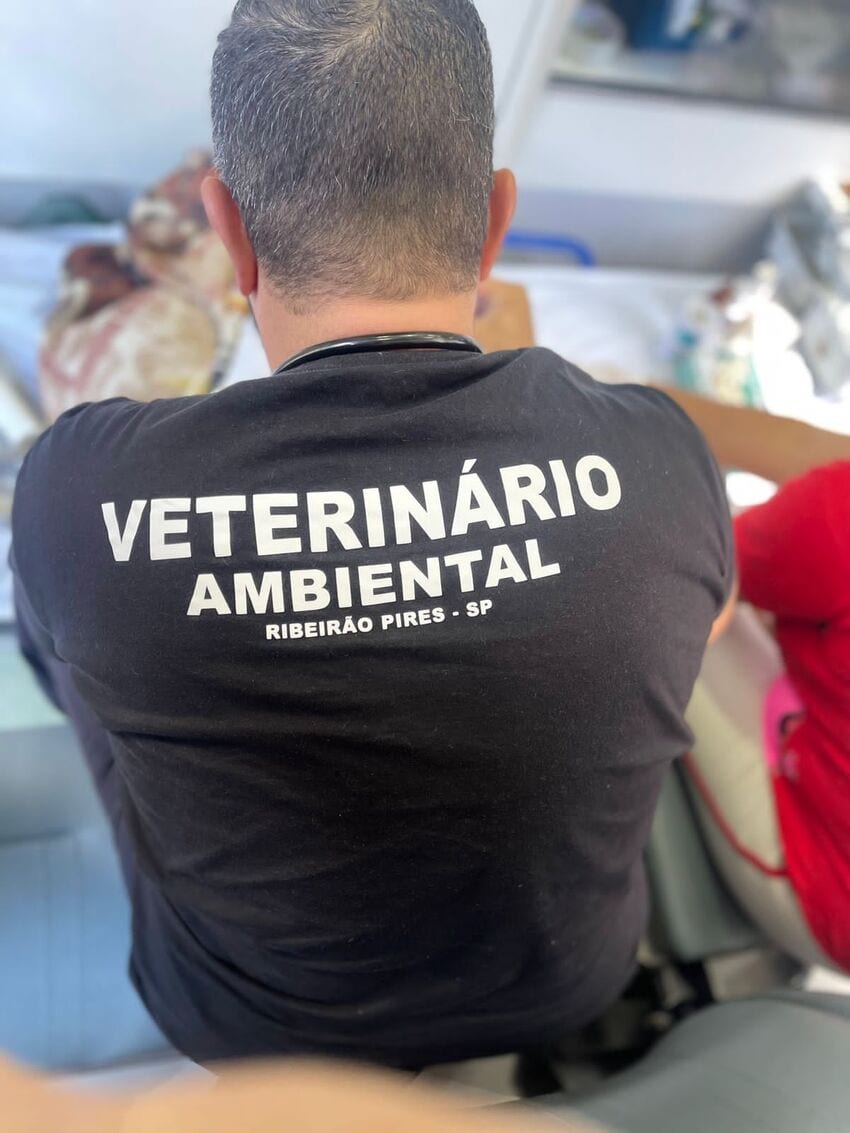 Veterinário
