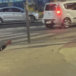ladrão preso em Santo André