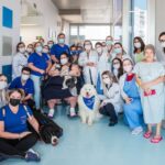 Pet Terapia