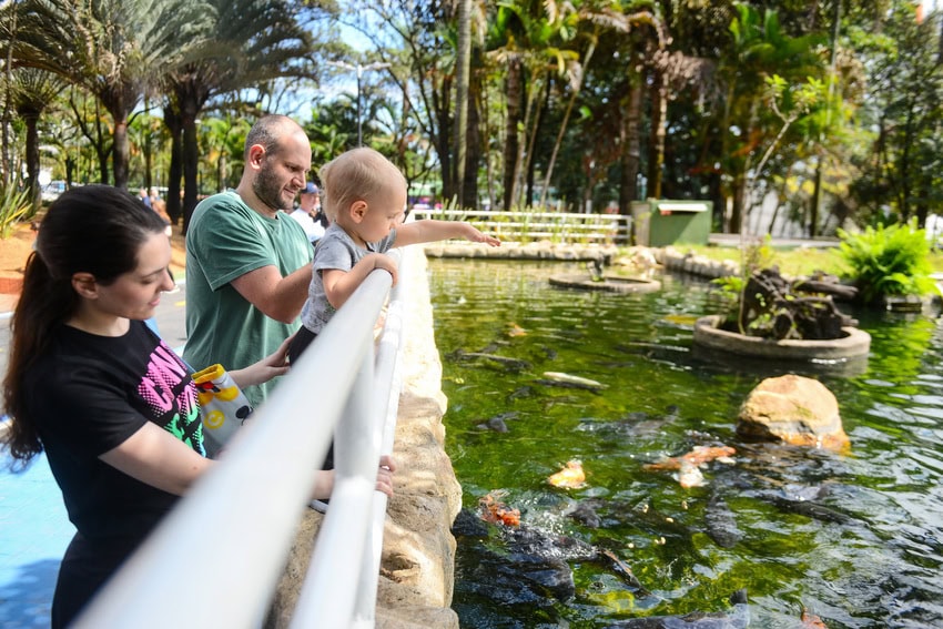 Parque Salvador