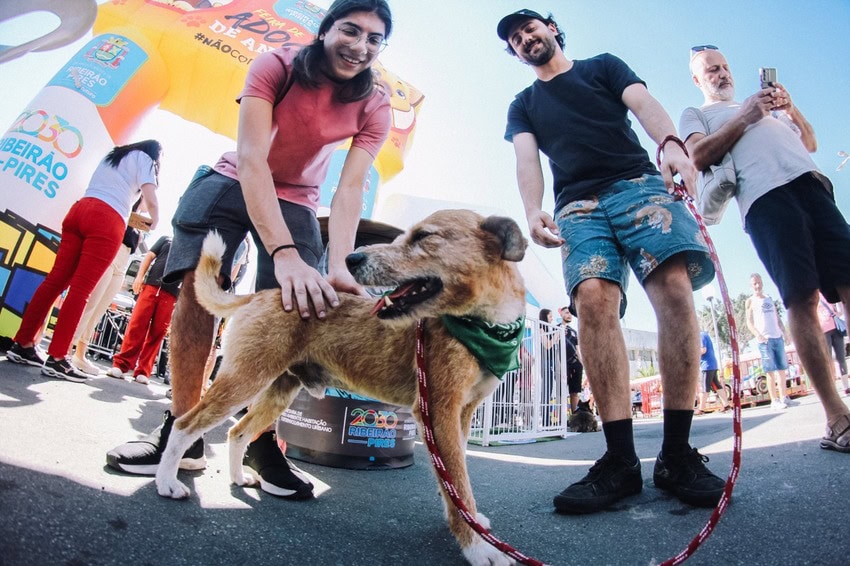 Cachorro e Mulher
