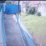 tentativa de invasão de escola em São Bernardo