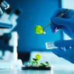 microscópio no laboratório