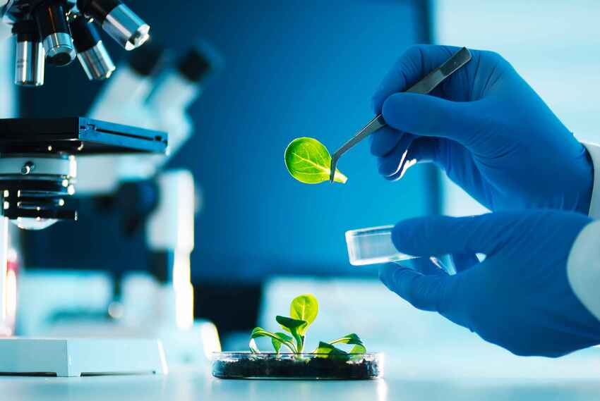 microscópio no laboratório