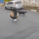 marcos levi da silva e sua pet
