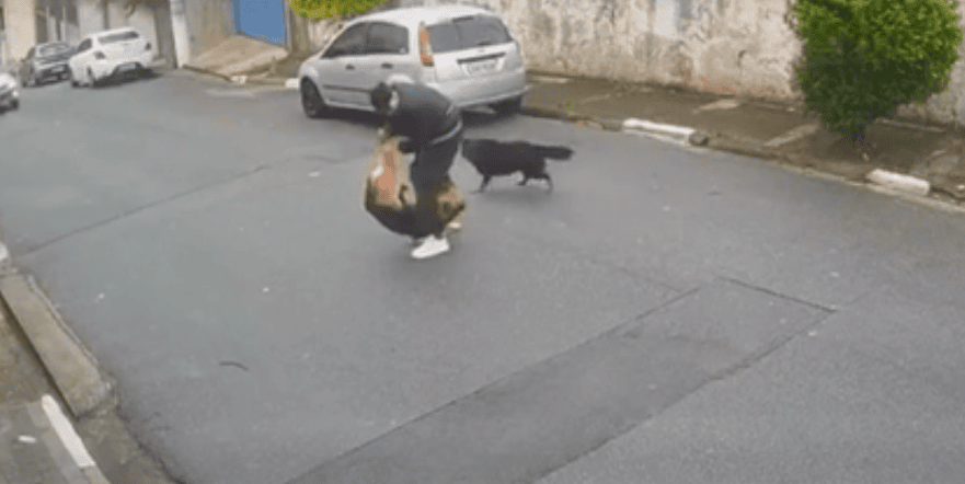 marcos levi da silva e sua pet