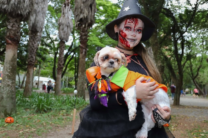 Hallowen Pet