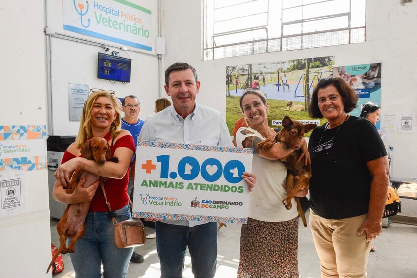 Atendimentos no Hospital Veterinário de São Bernardo