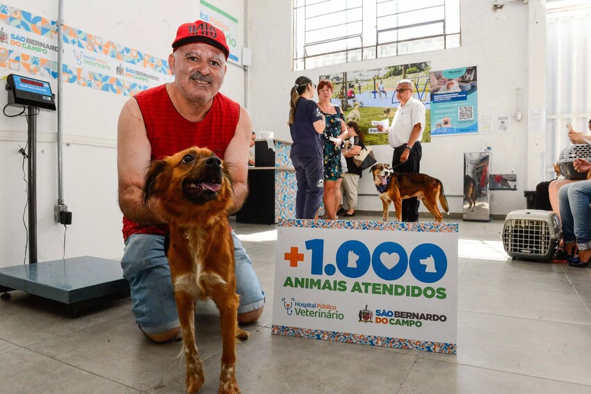 atendimento número 1.000 no hospital veterinário