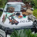 Operação Ambiental encontra armas de caça em unidade de conservação na Serra do Mar