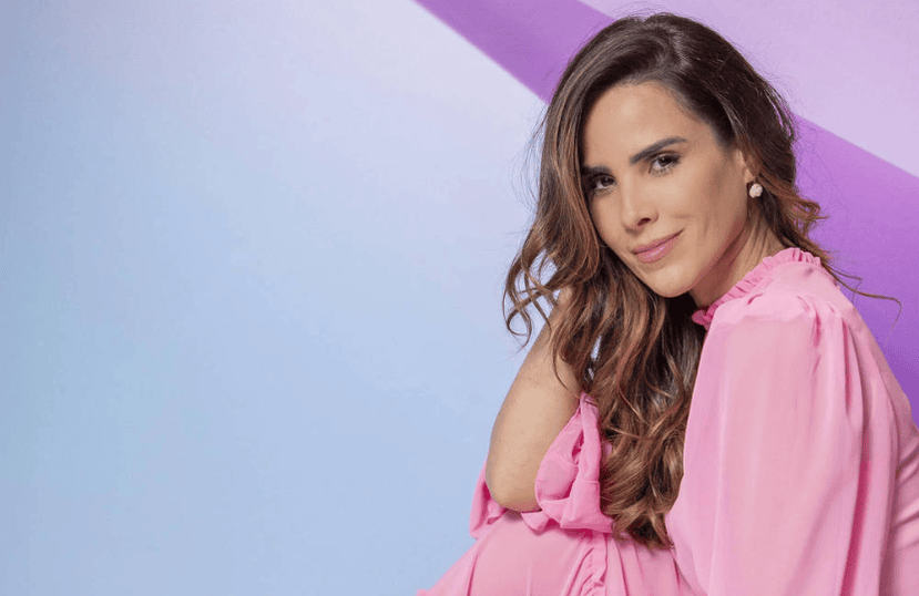 cantora wanessa camargo
