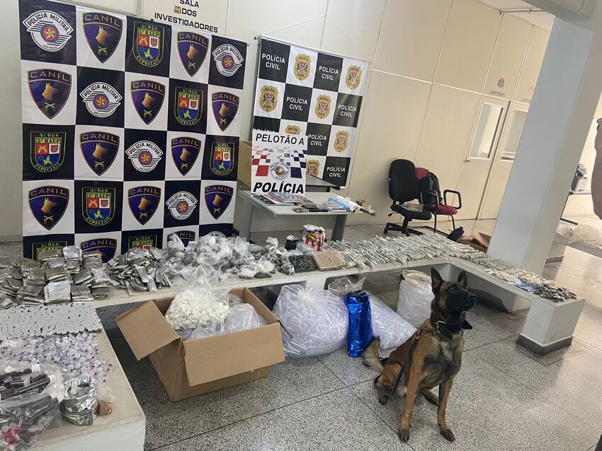 Cão do Baep