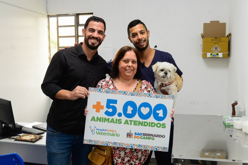 cachorro no hospital veterinário