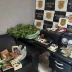 produtos apreendidos