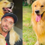 Tutor João Fantazzini com Joca, Golden Retrieve