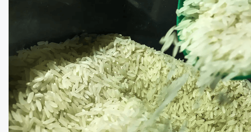 arroz