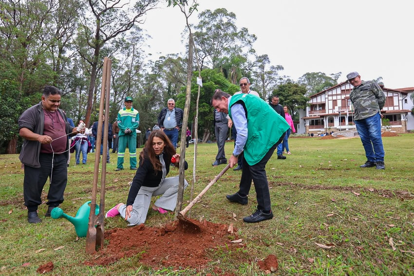 No Dia Mundial do Meio Ambiente, São Bernardo efetiva plano de restauração de nascentes