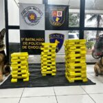Grupo é preso por delivery de drogas na região da Vila Mariana, zona sul da capital