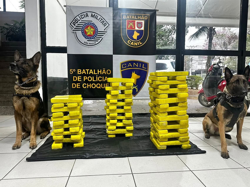 Grupo é preso por delivery de drogas na região da Vila Mariana, zona sul da capital