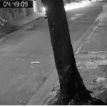 policial em santo andré