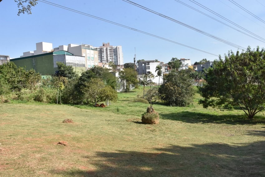 Parque Central terá área de lazer para pets