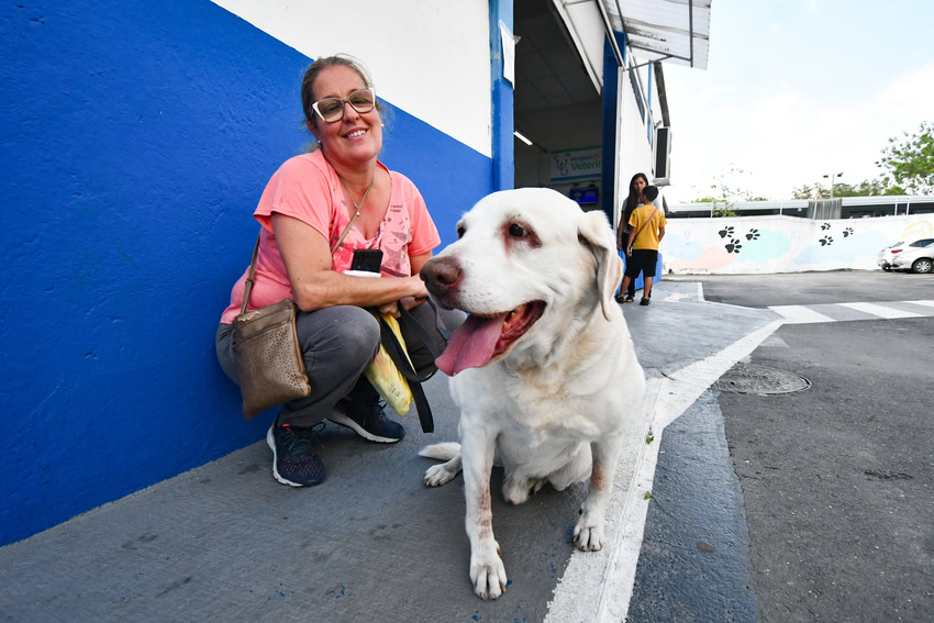 hospital veterinário