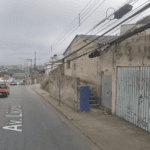 avenida lions