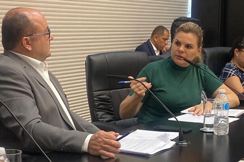 Presidente da CPI, deputada Carla Morando questiona Anatel sobre fiscalização da cobertura de sinal e excesso de fiação nos postes