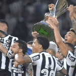 botafogo - campeão