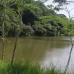 lago isolado no Parque do Pedroso