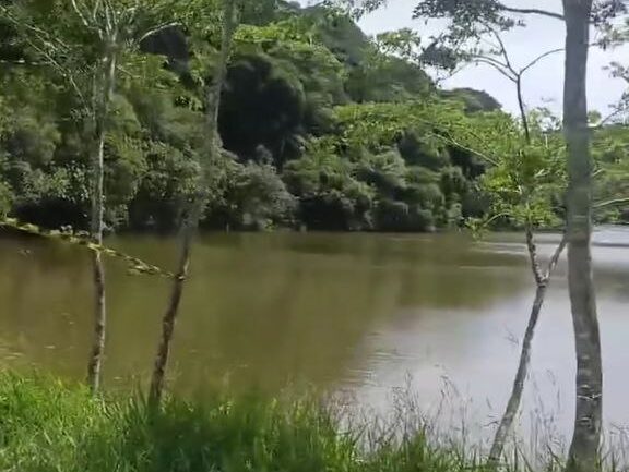 lago isolado no Parque do Pedroso