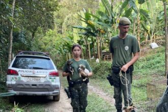 Polícia Ambiental resgata cães amarrados e sem comida em Rio Grande da Serra