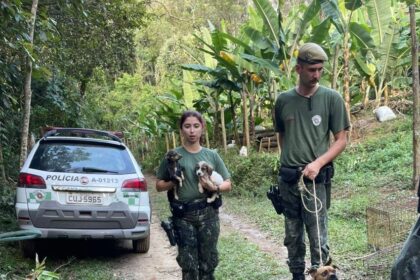 Polícia Ambiental resgata cães amarrados e sem comida em Rio Grande da Serra