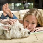 Os pets e o seu incrível poder de ajudar a saúde emocional e o bem-estar das pessoas