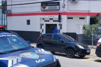 GCM prende homem por violência doméstica e outro por furto de celular