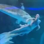 Nas imagens, a jovem aparece nadando no tanque vestida com uma cauda de peixe e um biquíni, quando um esturjão se aproxima
