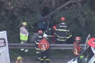 Corpo de bombeiros fazendo resgate no rodoanel