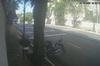 roubo de celular