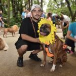 Santo André recebe programação de Carnaval para todas as idades a partir de sábado