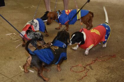 Blocão, o carnaval dos pets, agita o Parque Celso Daniel no sábado