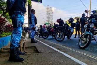 Operação Carnaval em São Caetano registra números expressivos e reforça segurança durante a folia