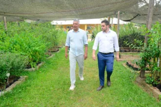 Viveiro Municipal de Santo André cultiva vegetação plantada em áreas verdes da cidade