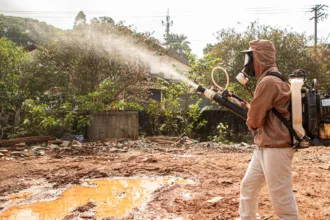 Agentes visitam 157 casas e fiscalizam denúncias no Dia D de combate à dengue em São Caetano