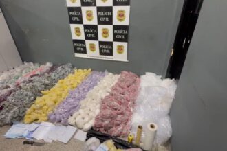 Mais de 56 mil porções de drogas são apreendidas em Diadema