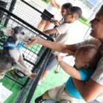Adoção com amor: 13 animais ganham um novo lar no 39º evento promovido pela Prefeitura