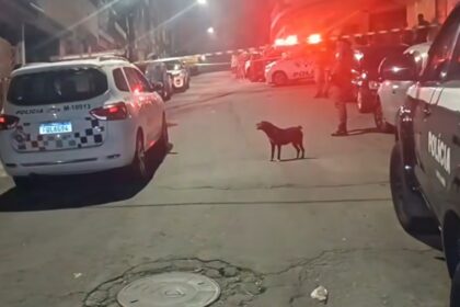 Rapaz é executado em rua da Vila João Ramalho de Santo André