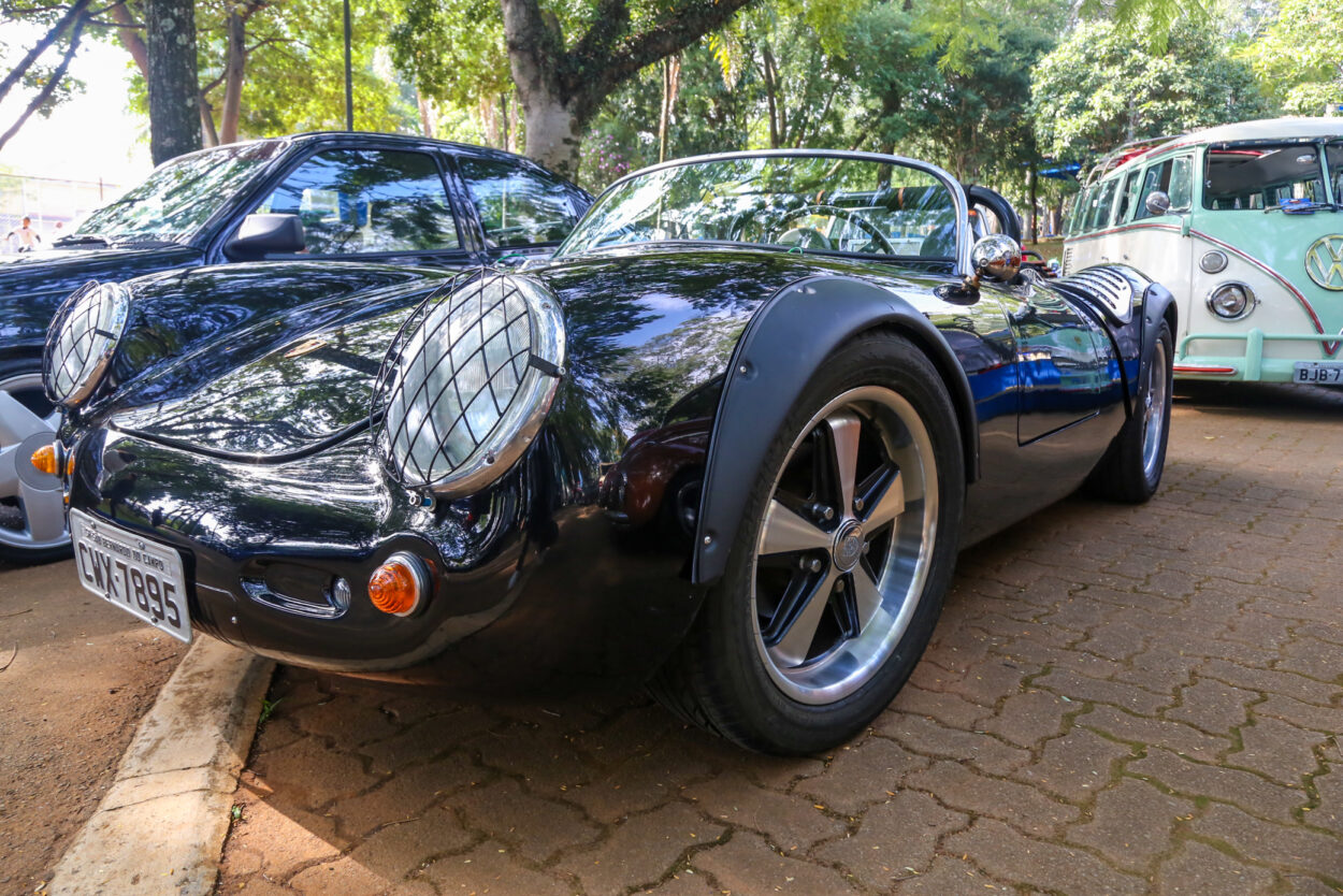 Bosque do Povo, em São Caetano, sedia exposição de carros antigos no domingo, 6