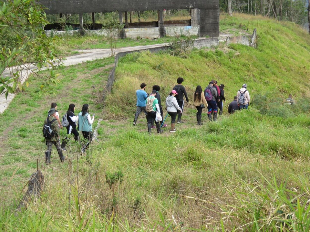 Santo André promove trilha no antigo teleférico do Pedroso e outras atividades de educação ambiental em agosto