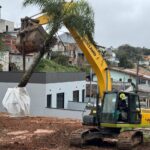 Prefeitura de Ribeirão Pires realiza realocação de palmeiras da Avenida Prefeito Valdírio Prisco