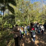 Alunos participam de trilha monitorada e plantio de árvores no Parque da Gruta de Santa Luzia